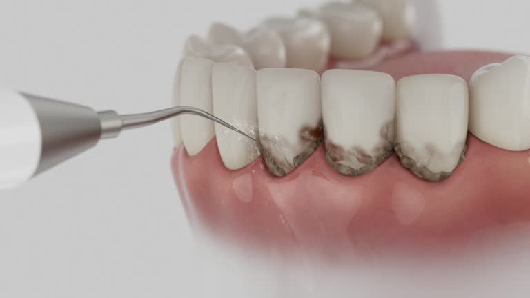 Reliable Dental contractor in Thunderbolt, GA by Dentist Open Now